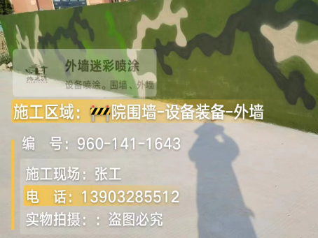 崇明 迷彩漆喷涂价格（按平方米计费）